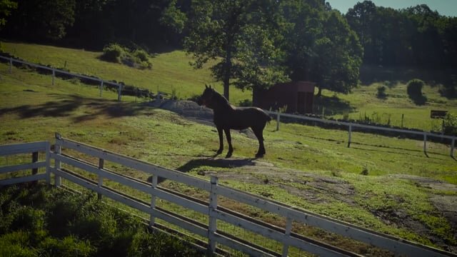 Muscoot Farm Welcome Video