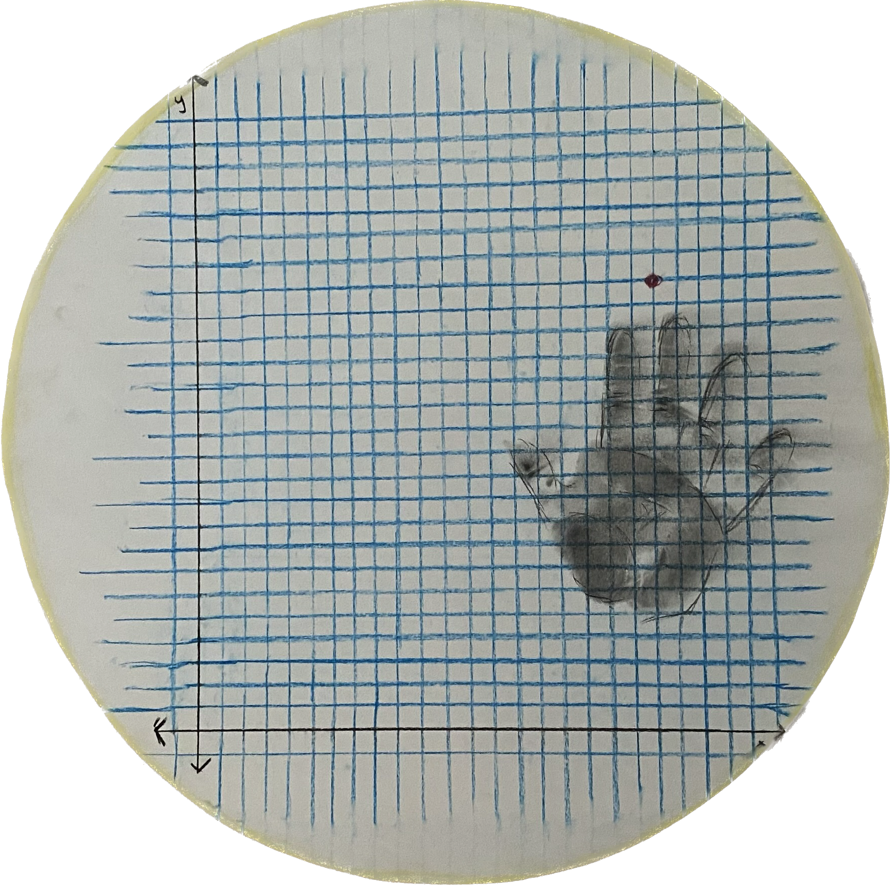 What Am I Doing Here? (1/3), 2023, pastels on mixed media paper, Diameter: 18½''