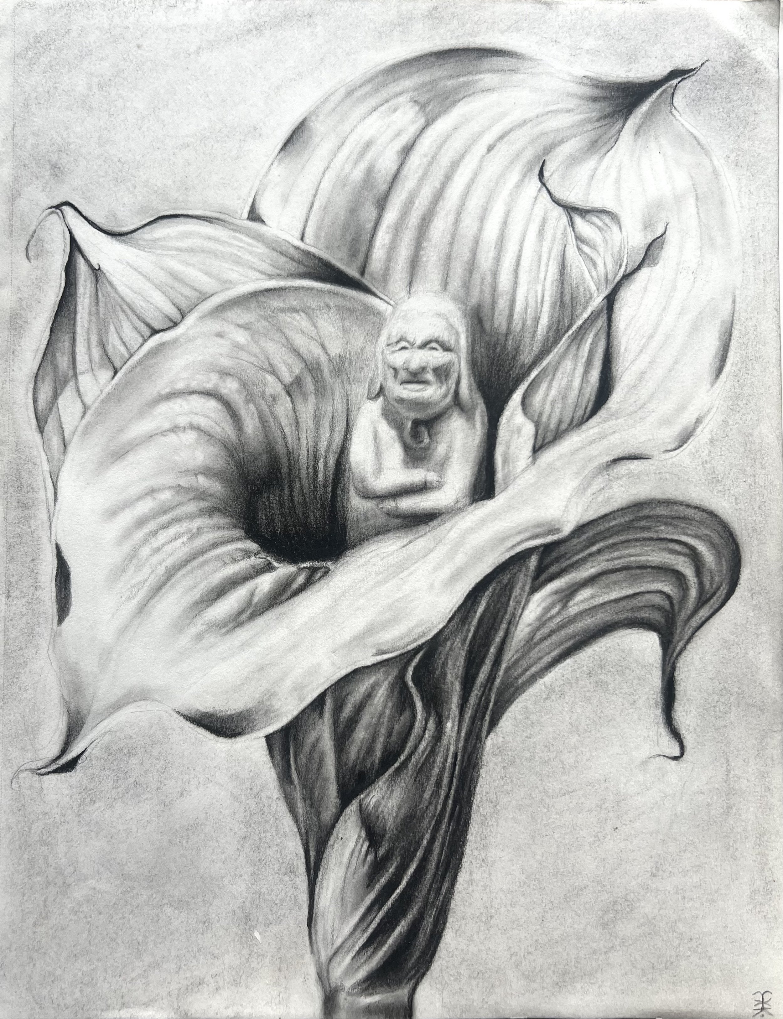"a life well lived" - graphite and charcoal on paper, 2025