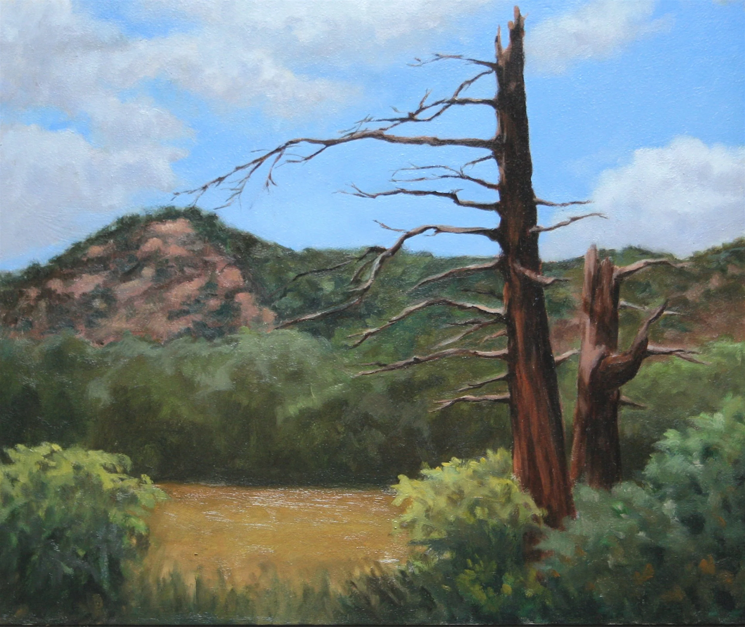 Dead Tree #3 — 16.25 x 19.25 — $425