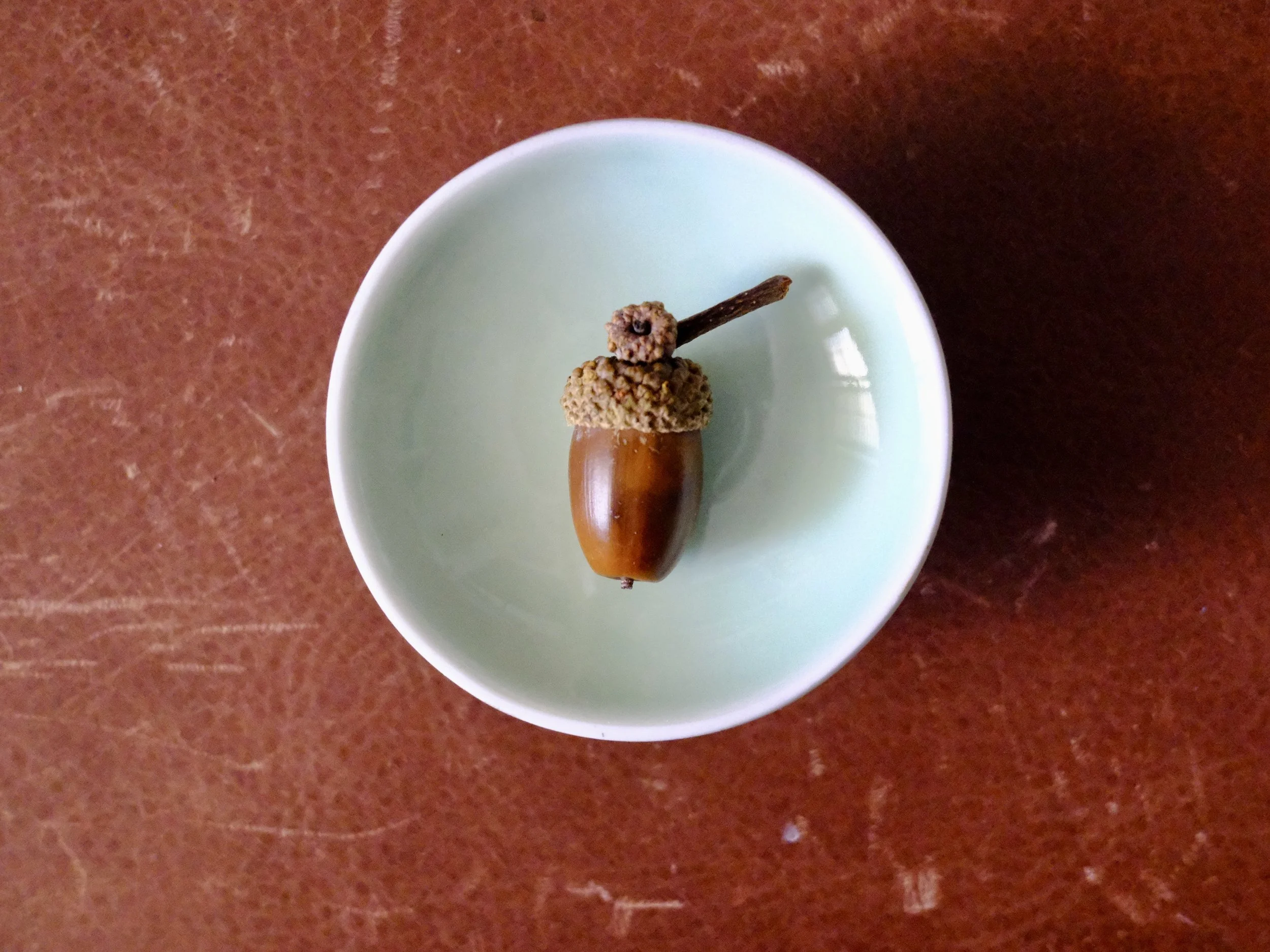 Log Cabin Acorn