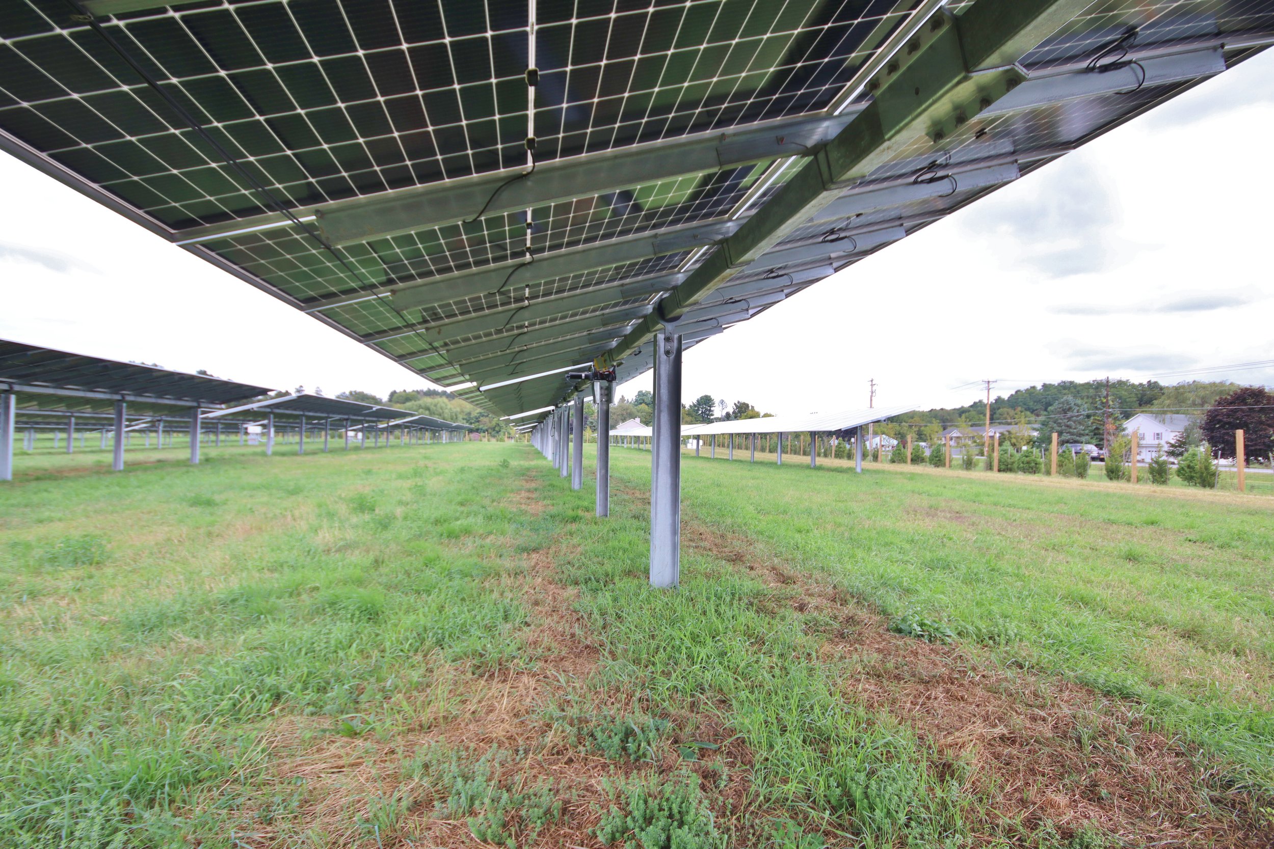 55 Plains Road Ribbon Cutting Ceremony