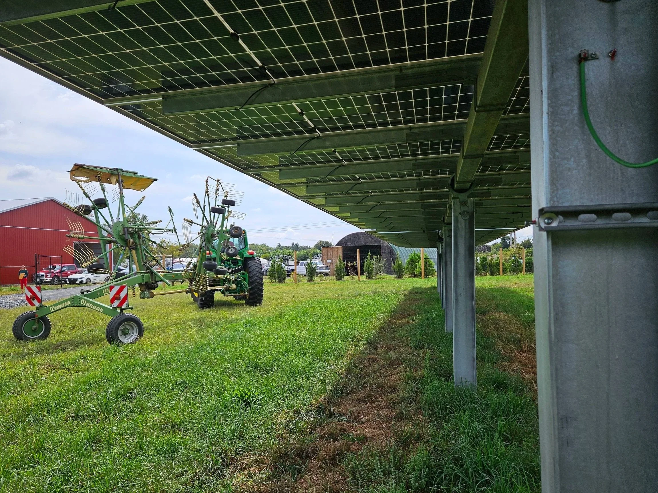 Plains Road - Lightstar Agrivoltaics Projects