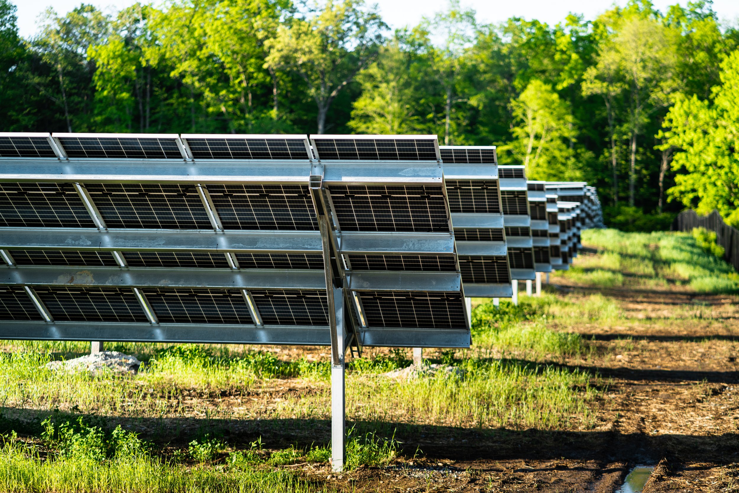 Massachusetts Solar & Agrivoltaics Policy | Lightstar Renewables