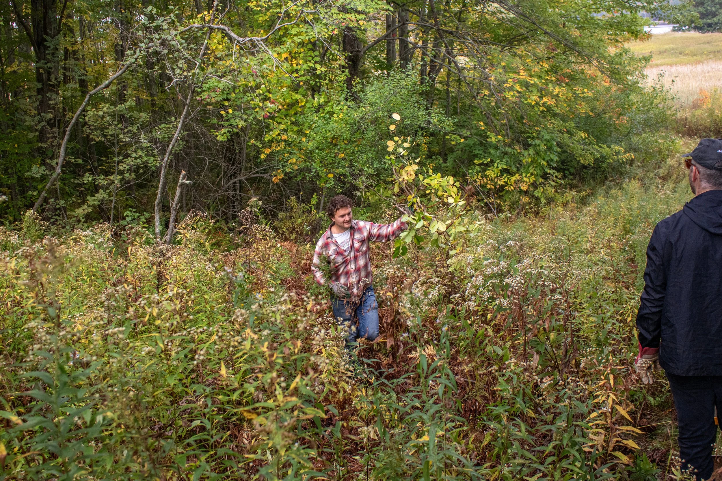 Lightstar Gives Back Maine Audubon