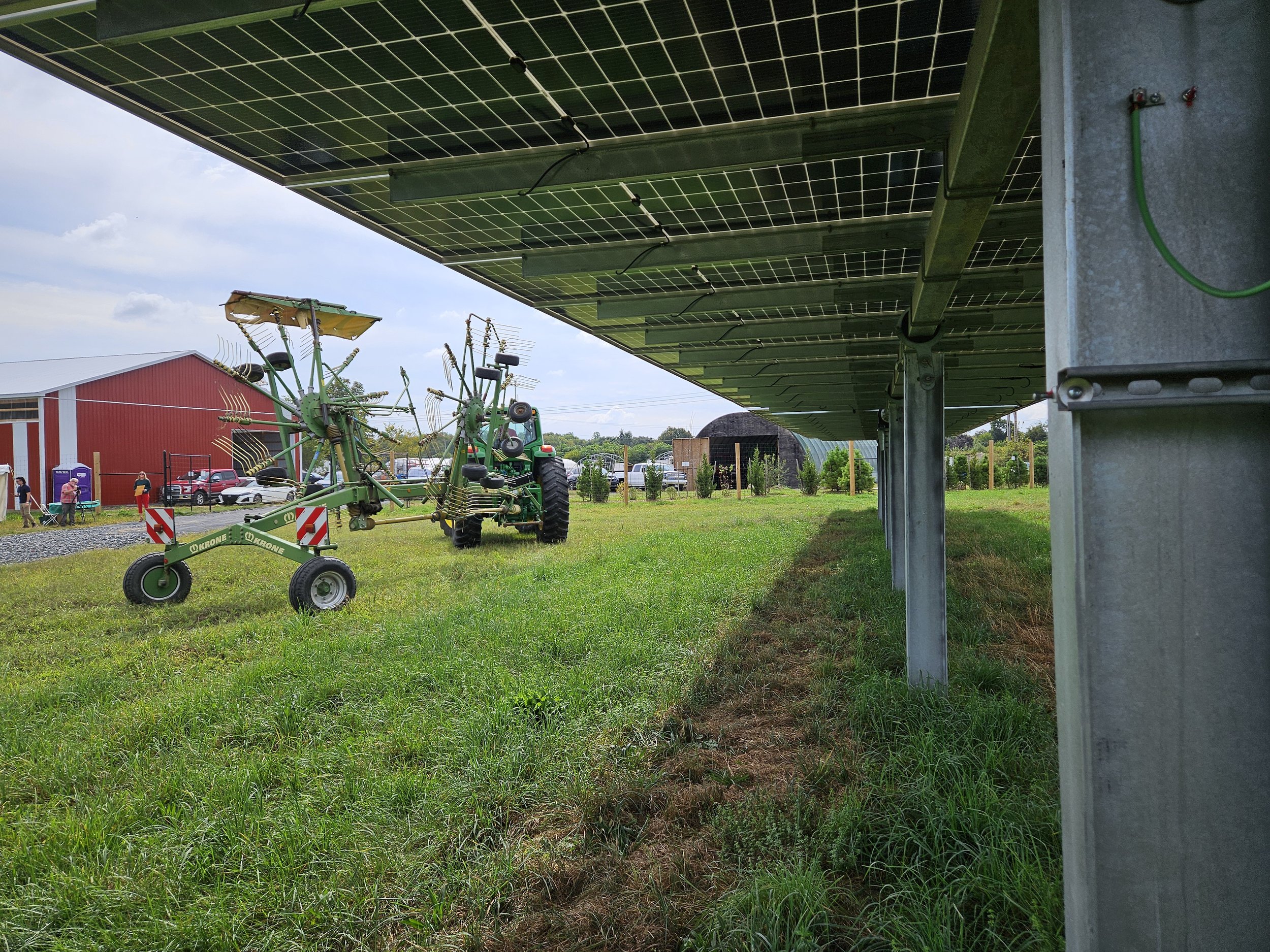 Plains Road AgPV Project - Hay under solar