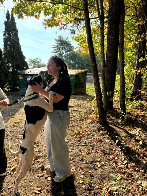 ightstar Gives Back Animal Welfare Society
