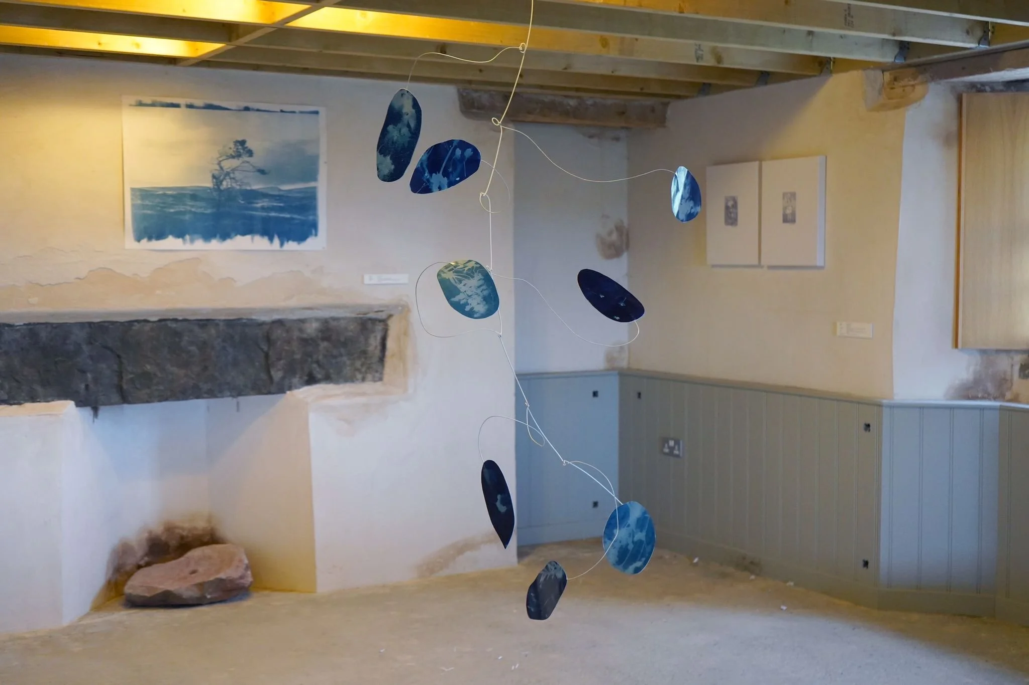 'Summer Recollections' steel and cyanotypes. Exhibited as part of Móti's 'Resonance' exhibition, Oct 2021.