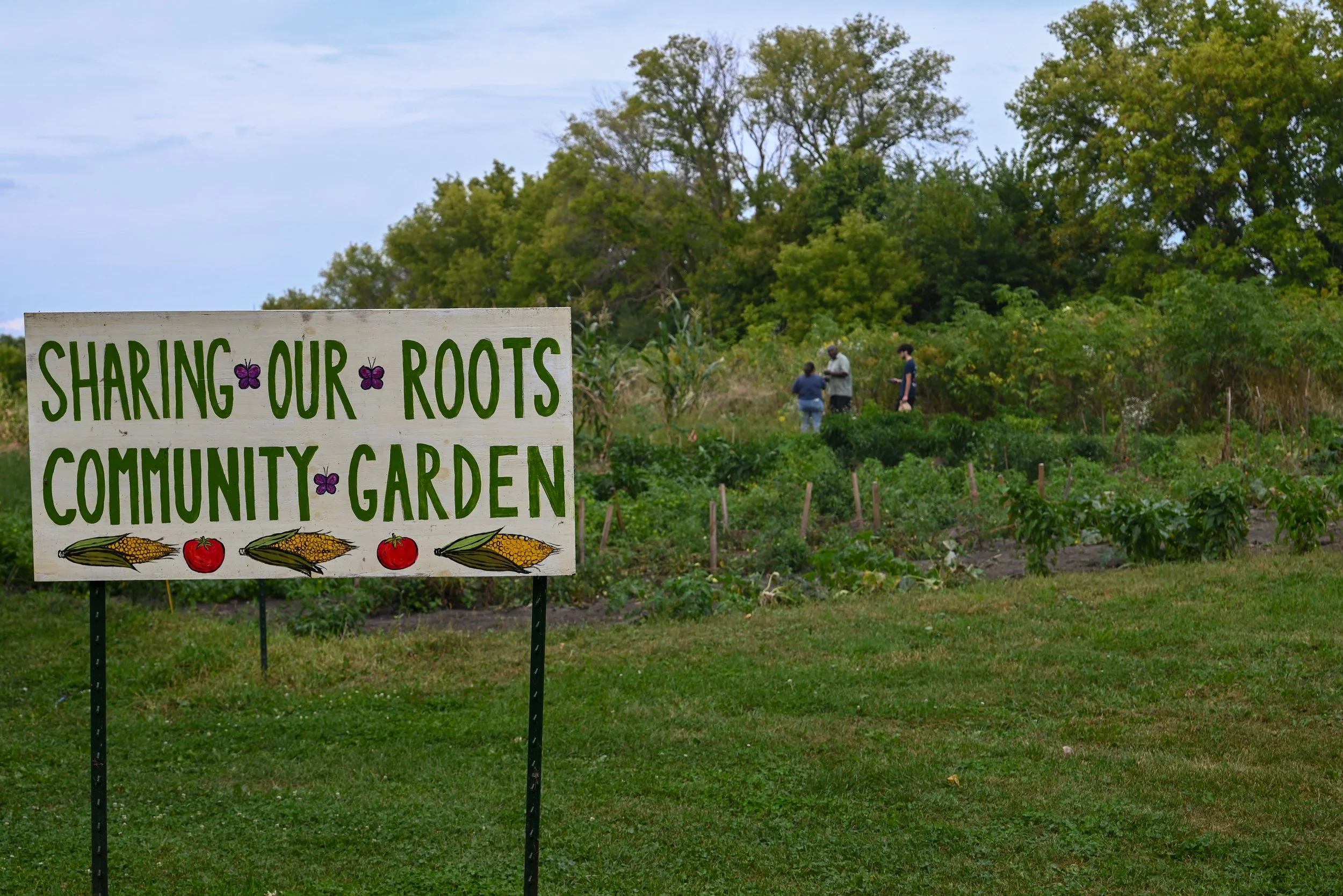 Volunteer Day in Community Gardens