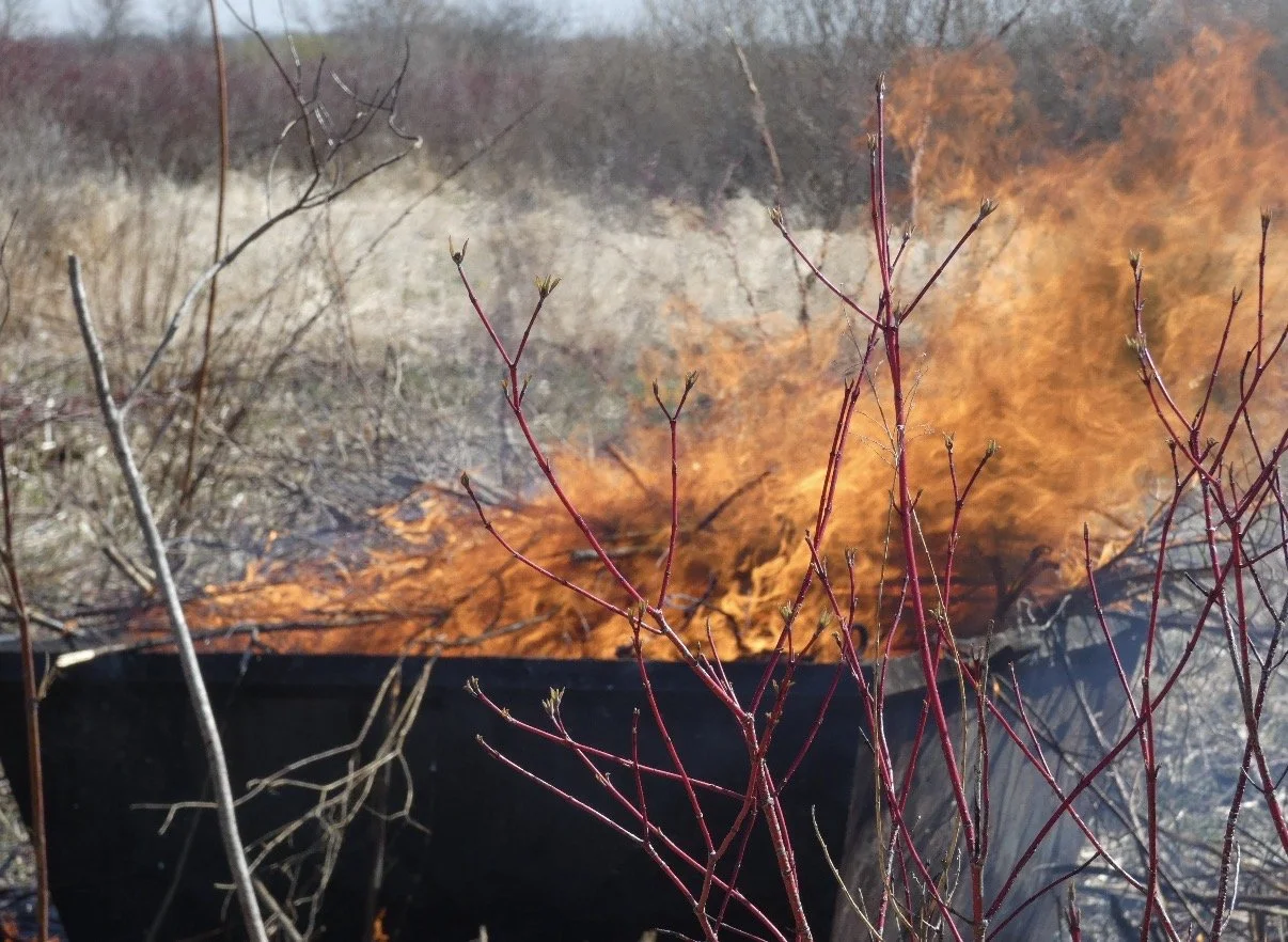 What’s the deal with biochar?