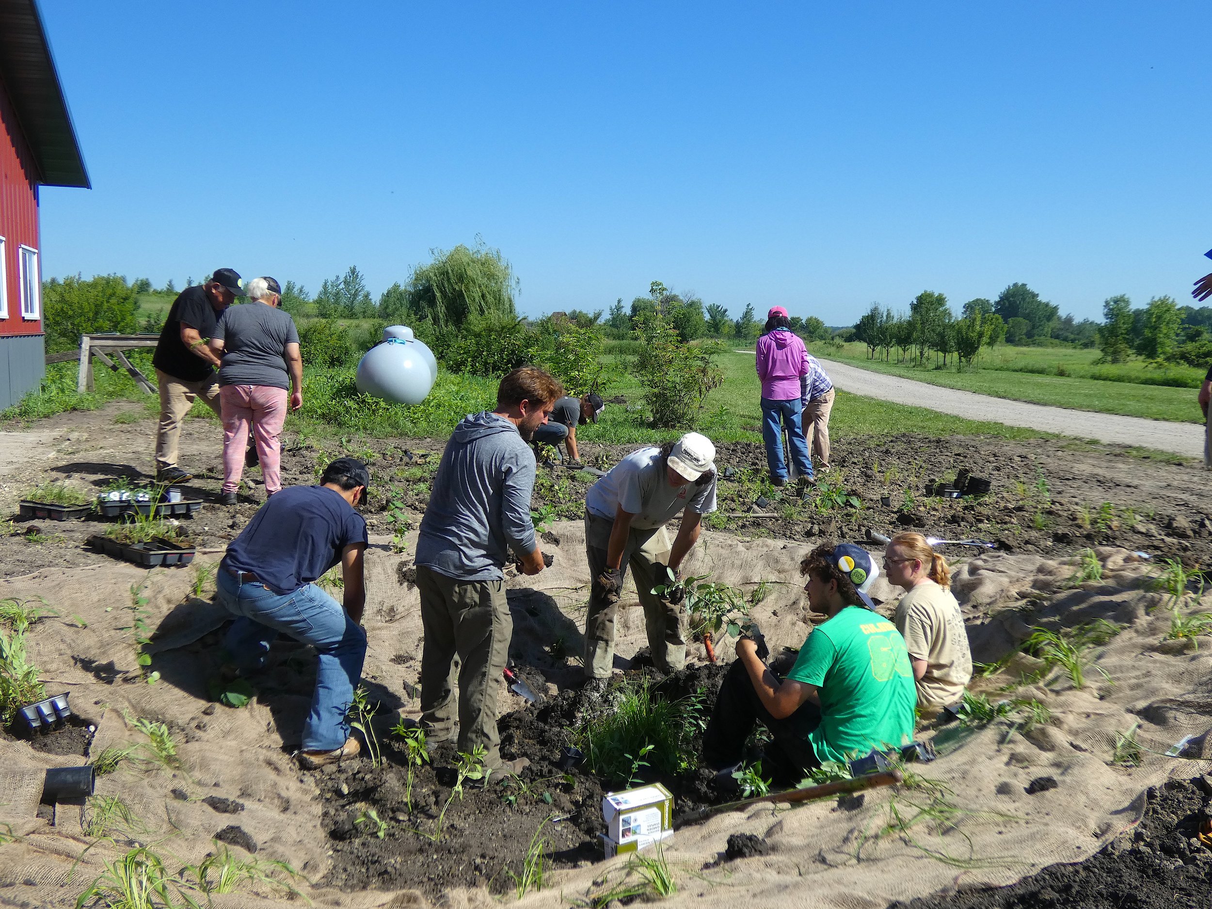 volunteers planting the pond.JPG