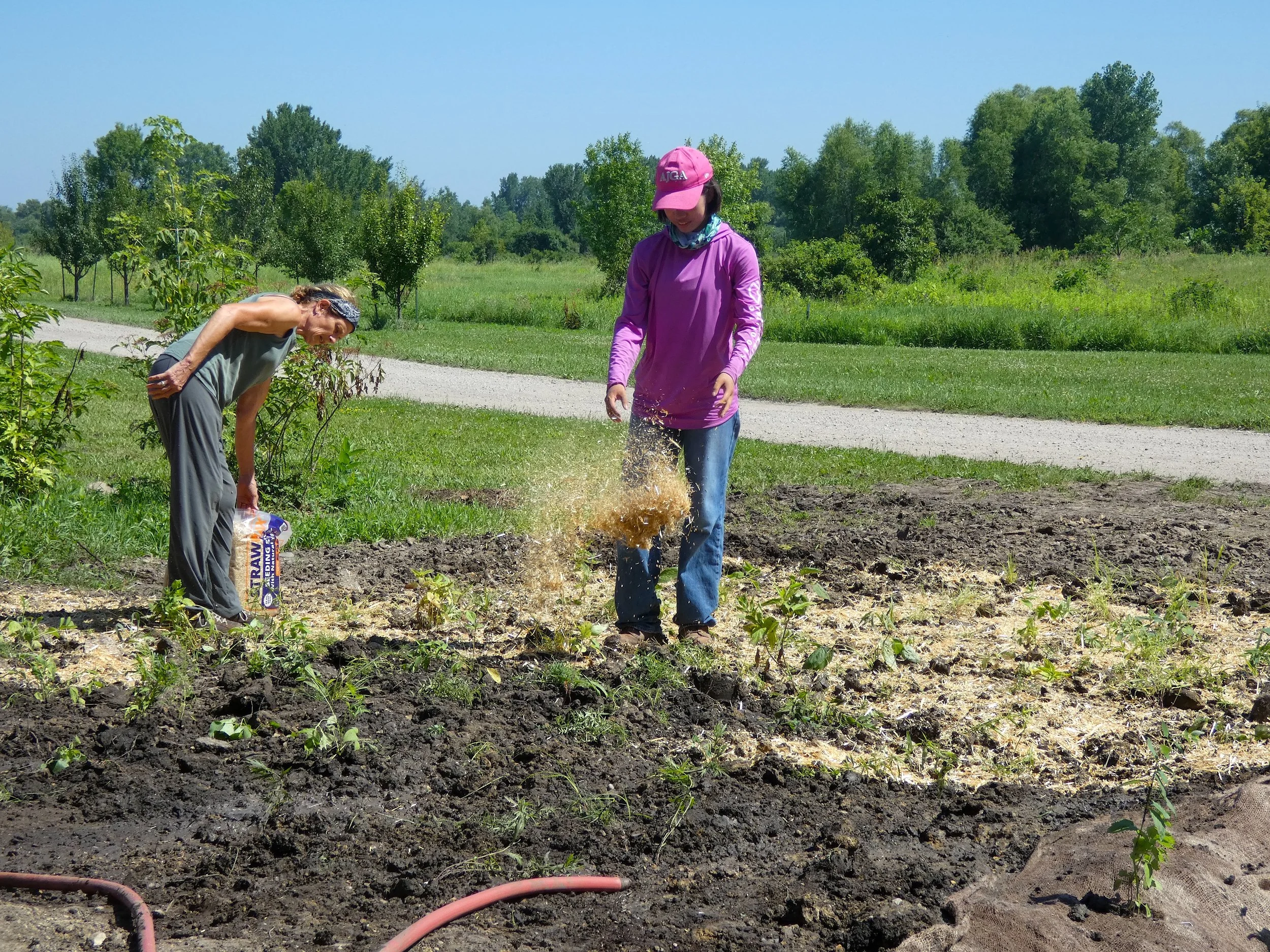 Virginia & Kaiqi mulching.JPG