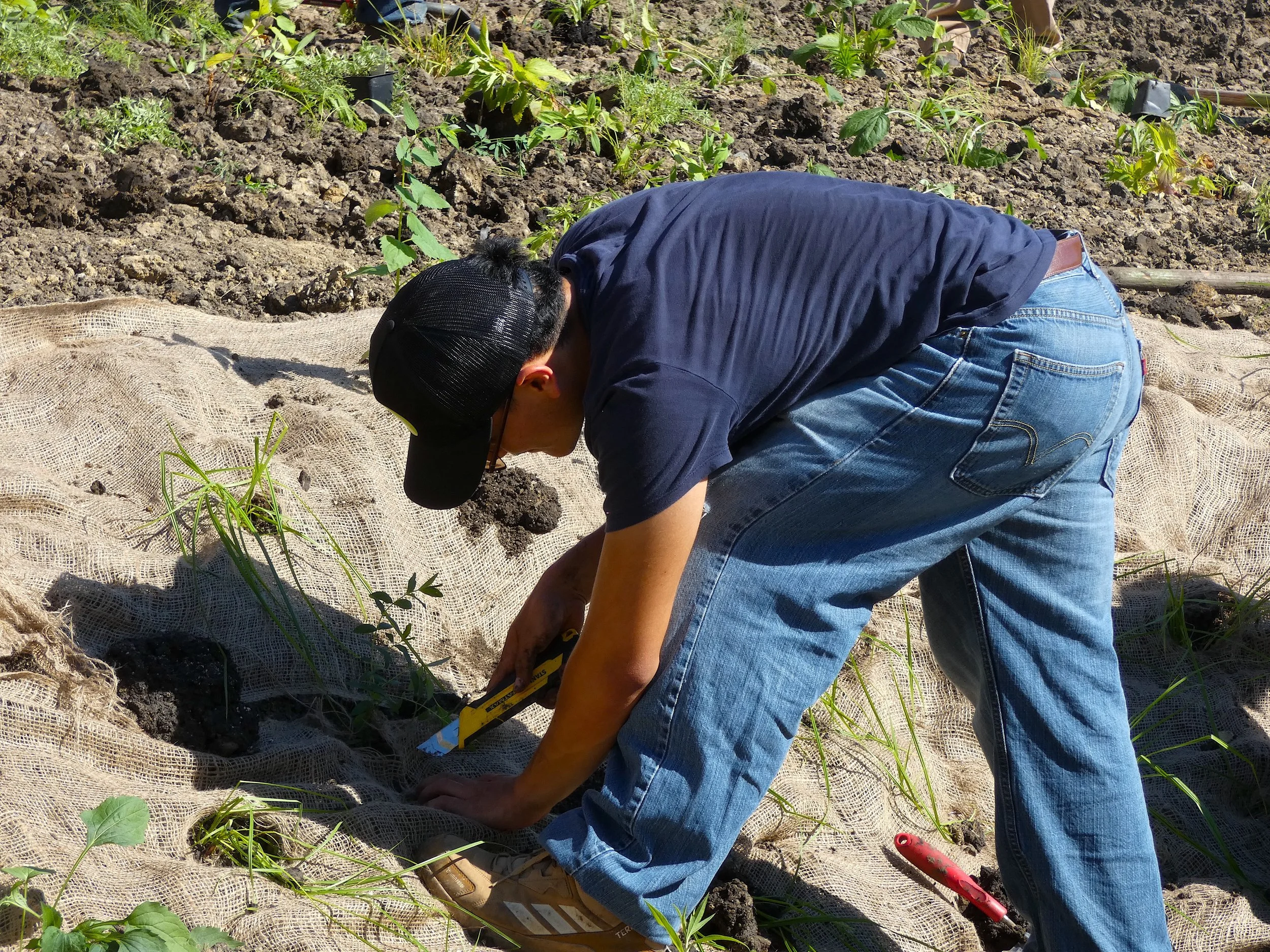 Edwin Planting Pond.JPG