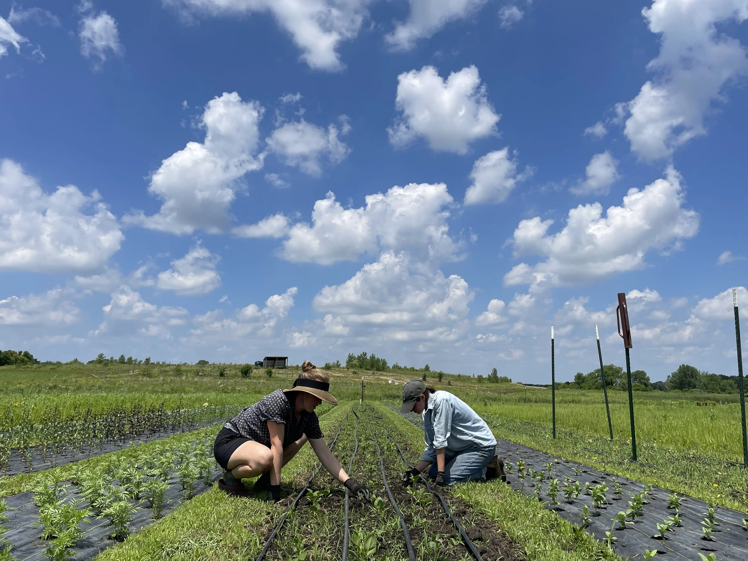 Madeline & Phoebe  (2).JPG