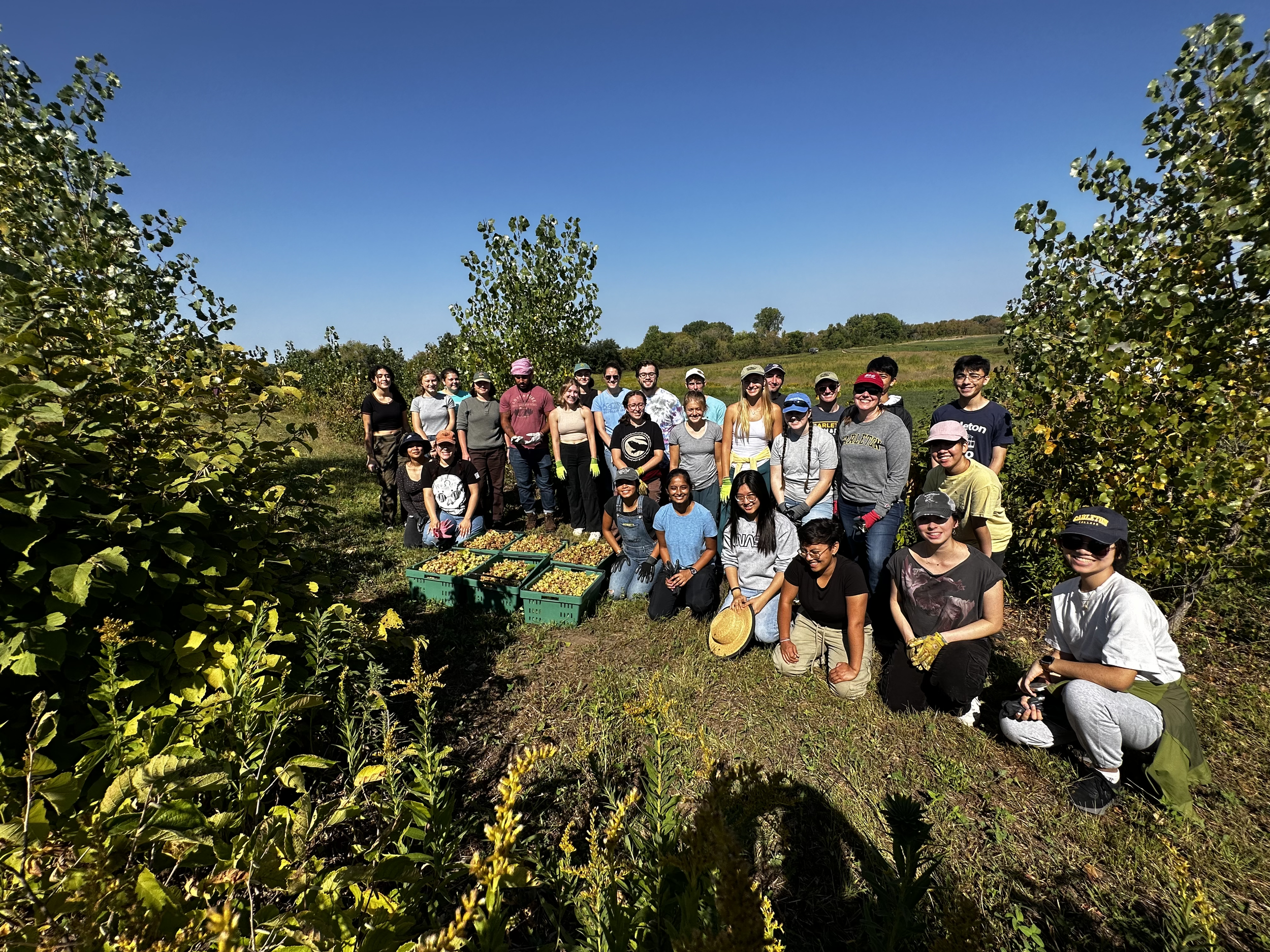 Volunteer — Sharing Our Roots