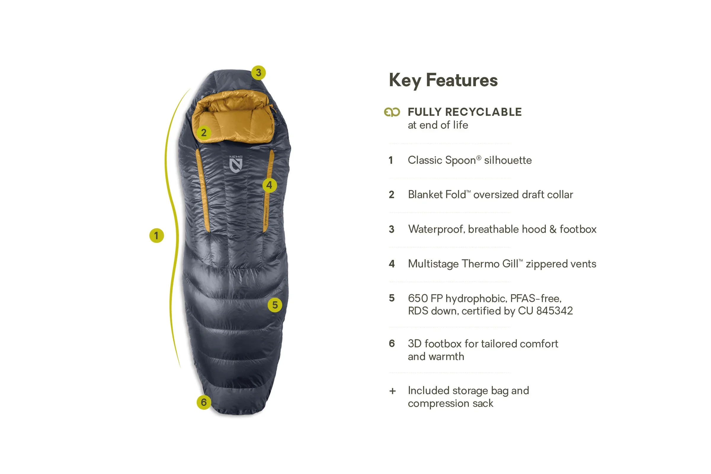 s25-DiscoEP-M-15_Annotated-KeyFeatures_080825.webp