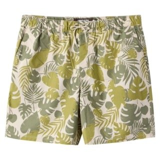 MENS_PRINTPOPLINDECKSHORT_MINERAL_N88303_1 Small.jpeg