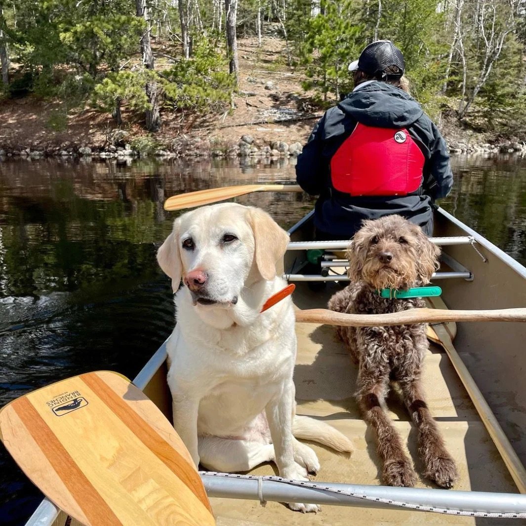 bending-branches-bb-special-canoe-paddle-lifestyle-1.jpeg
