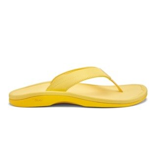 20110_4G4G_001_W_Ohana_SunSun_png Small.jpeg