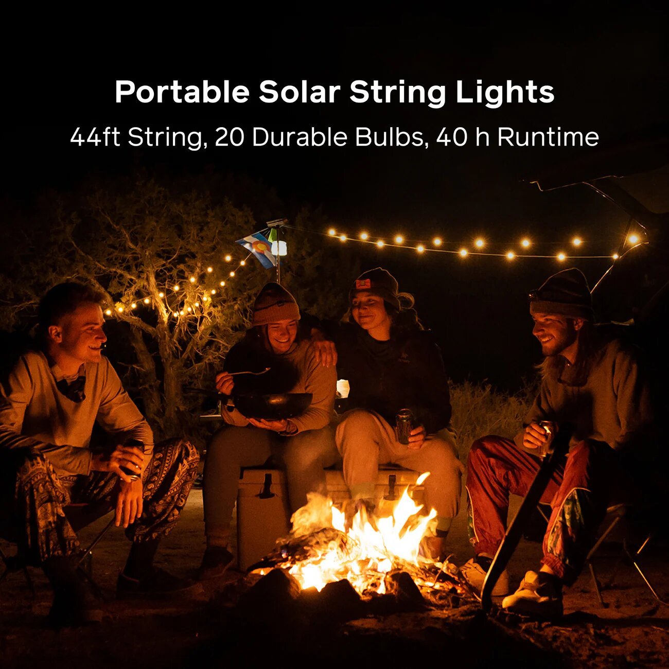 SolarStringLights-44ft-White-Carousel-1.jpg
