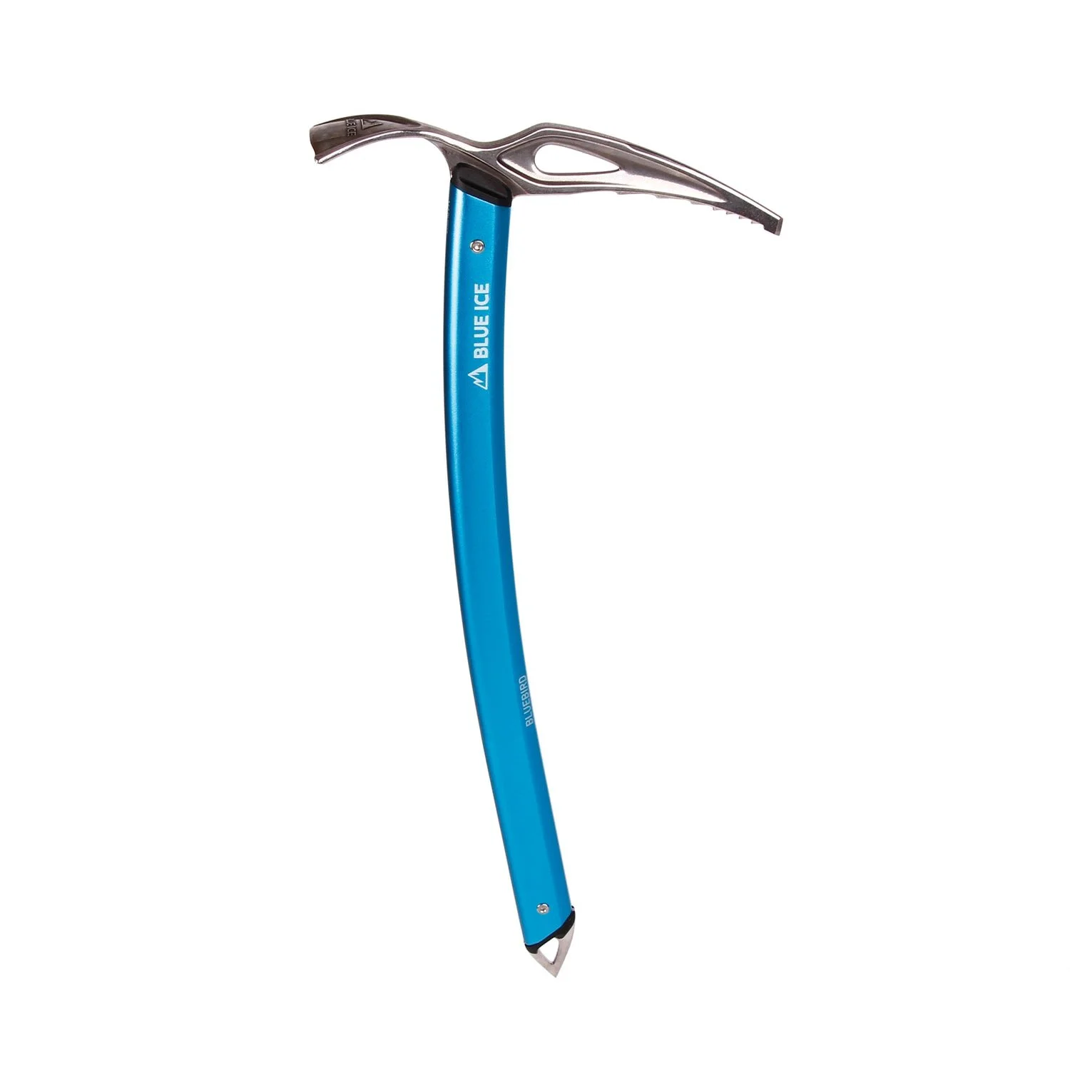 bluebird-main.jpg