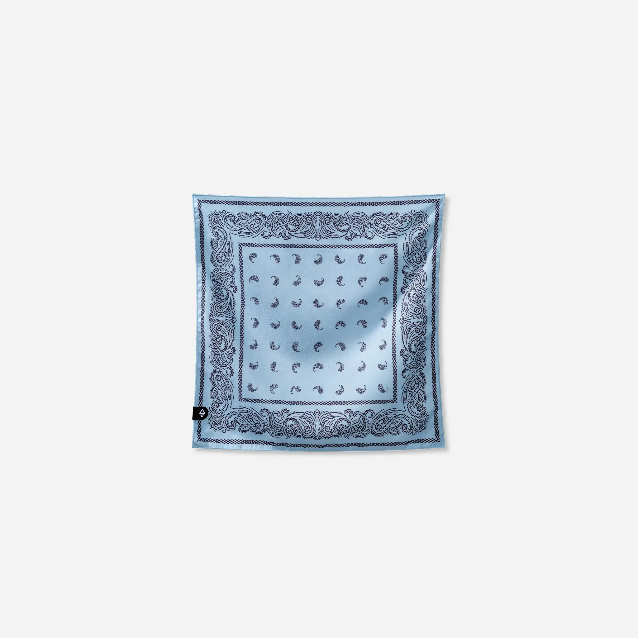 Paisley Pale Blue.webp