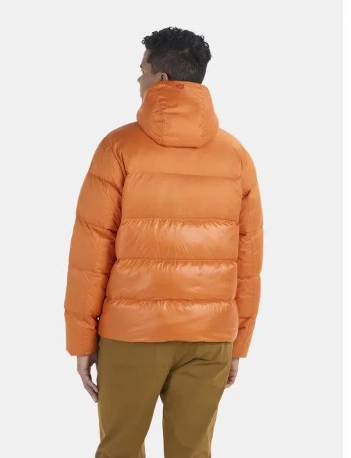 Screenshot 2026-03-11 181854.jpg