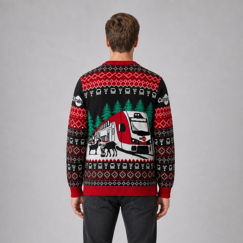Simulated image of man wearing Caltrain Cardigan Back View