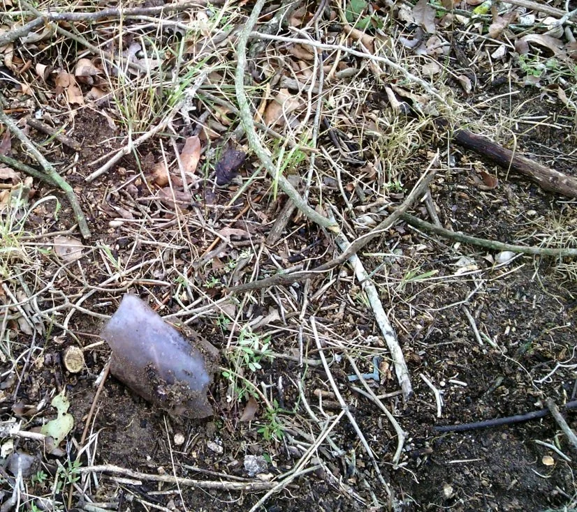 Artifacts in situ.jpg