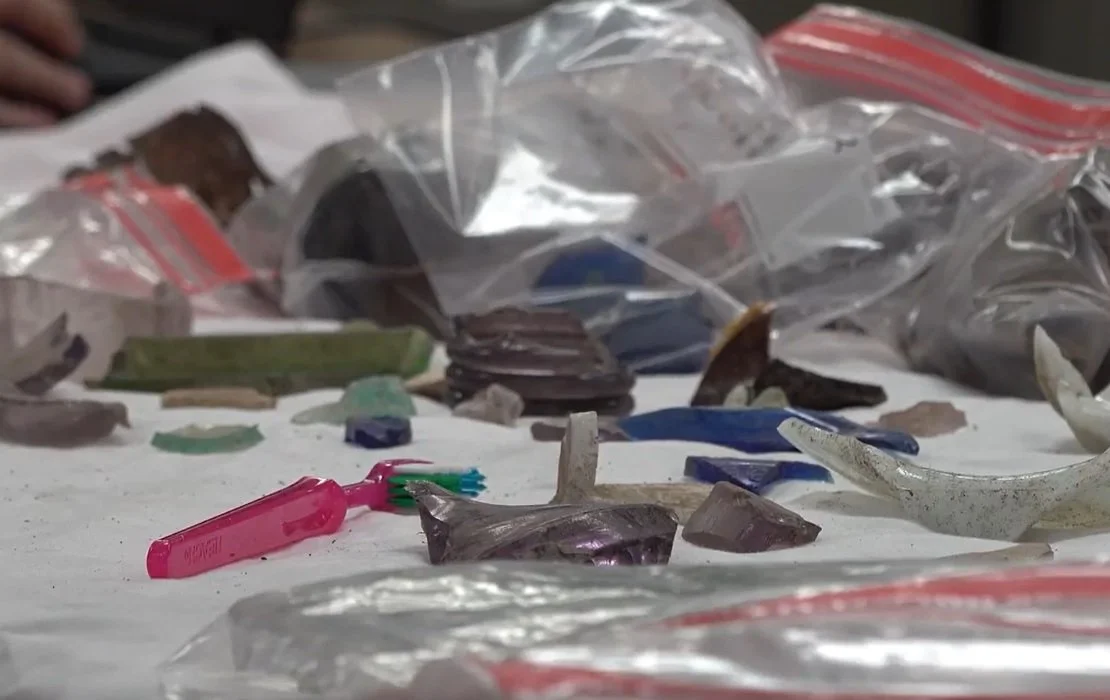 Artifact Cleaning.jpg