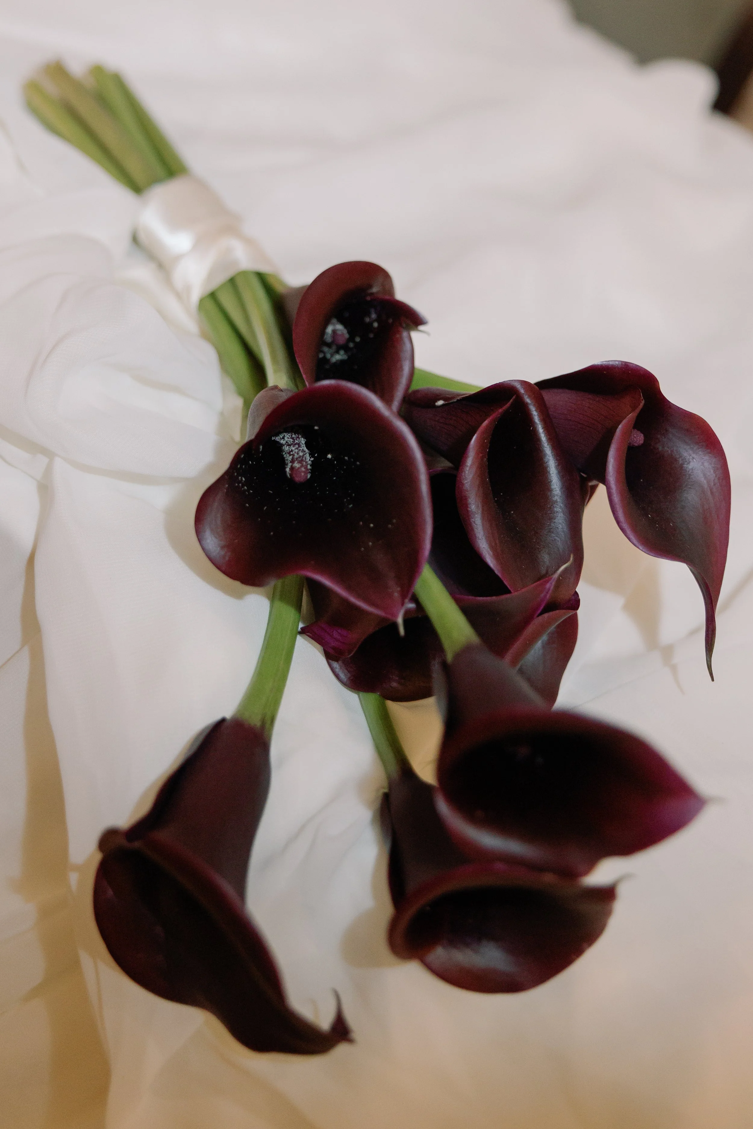 5C5A6218.jpg