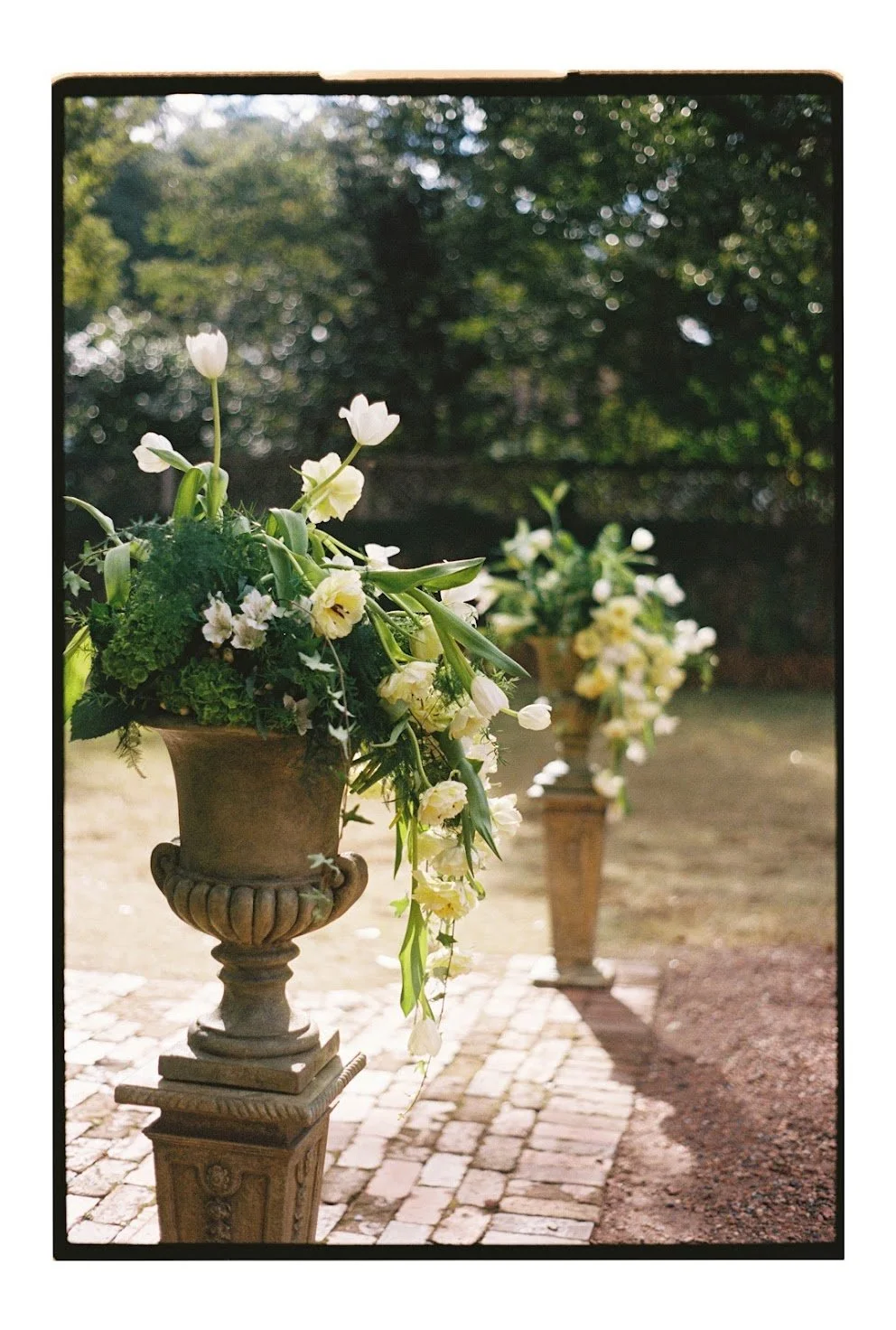 MaddyJaredFilm-STP-28.jpg