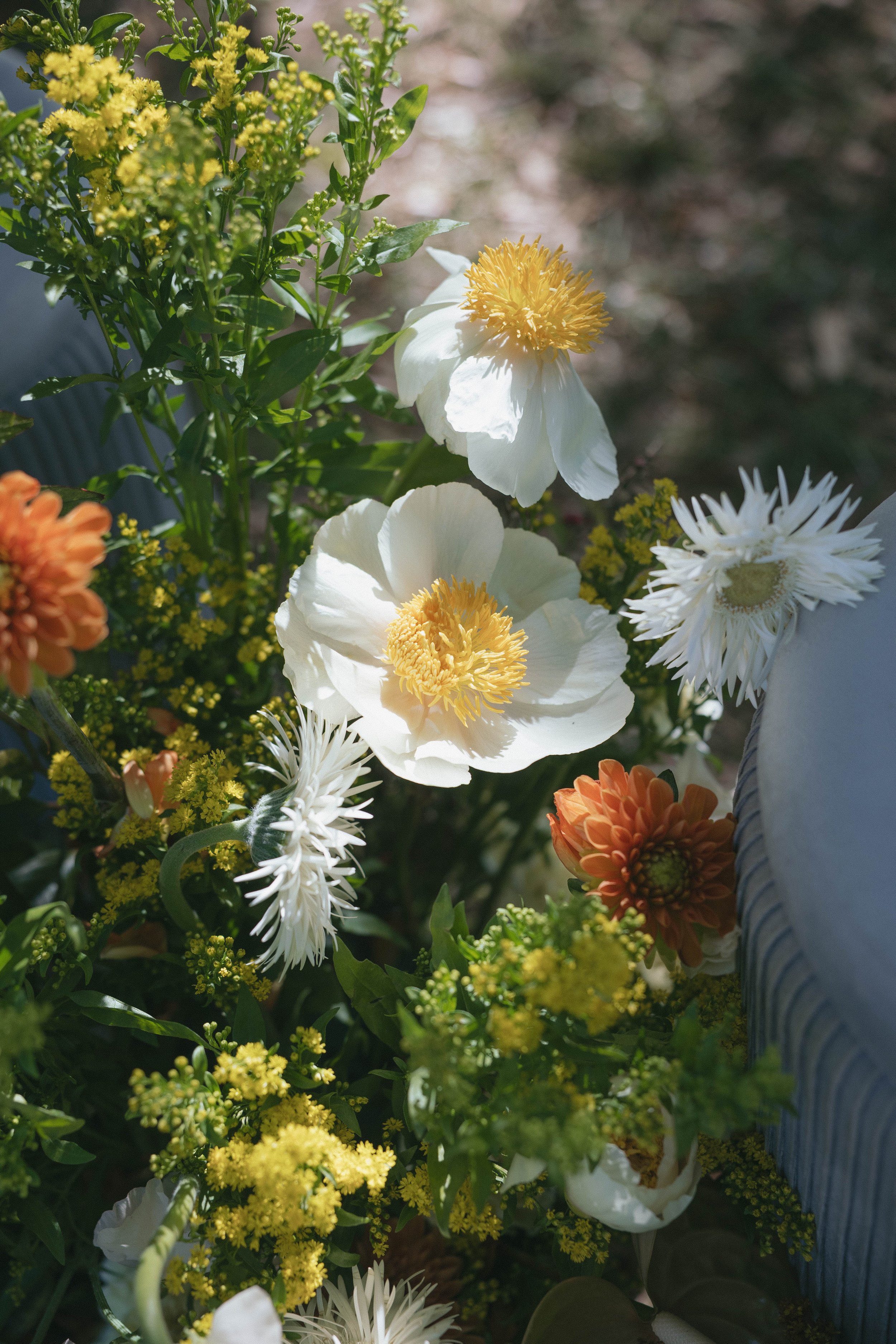 9S9A5052.jpg