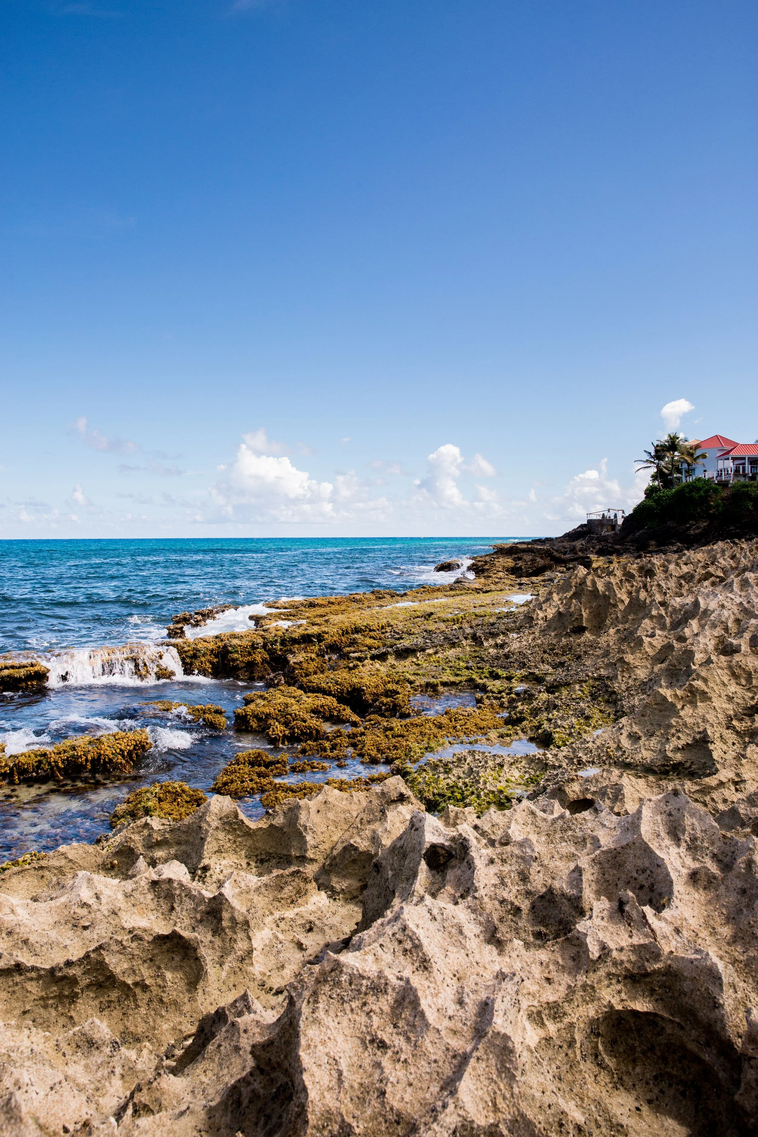 St. Croix Gudgel PL-73.jpg