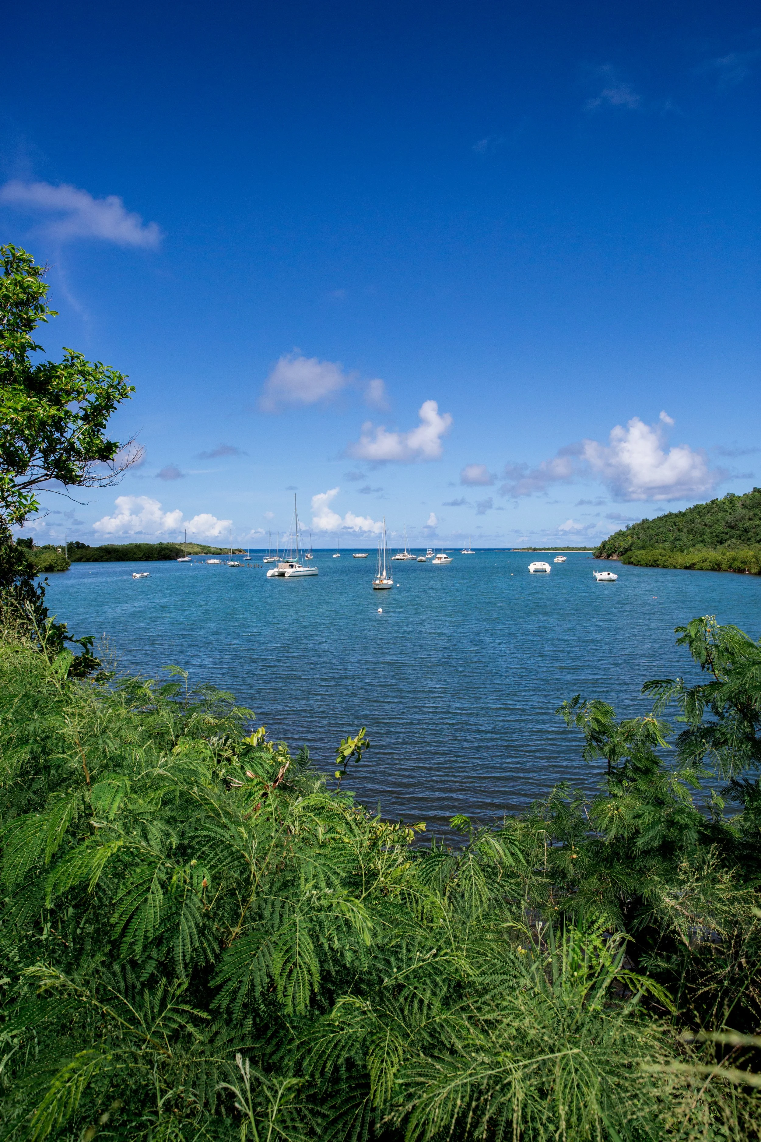 St. Croix Gudgel PL-271.jpg
