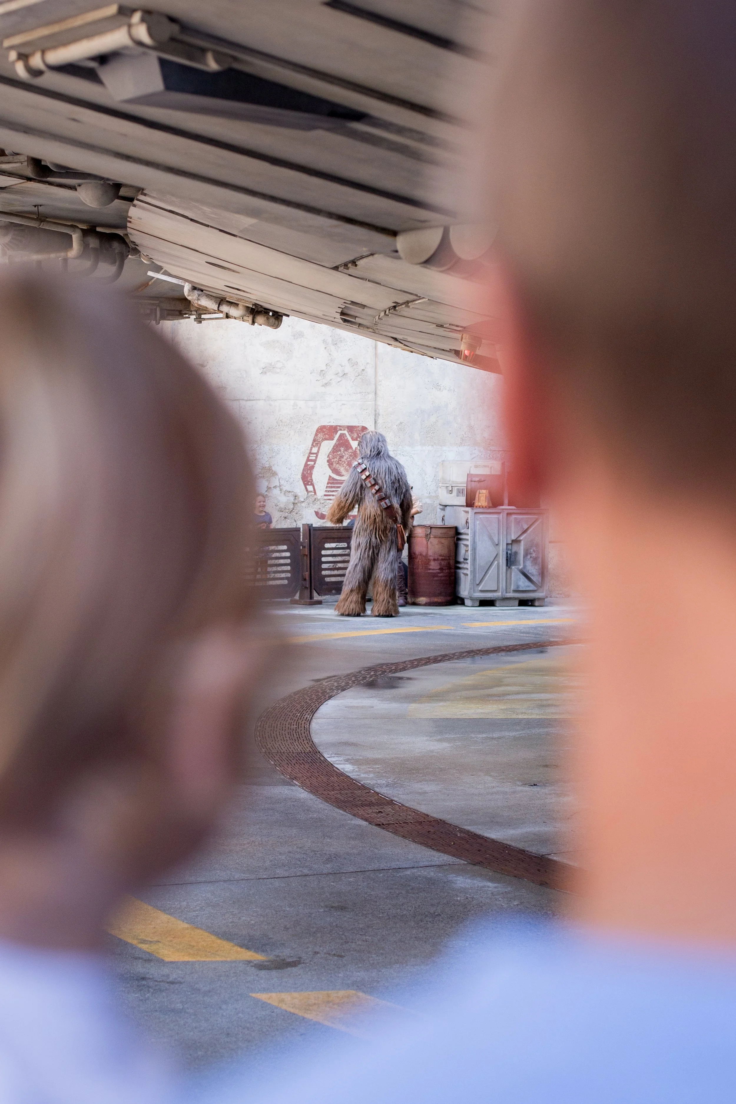 Horner Disney Trip-117.jpg