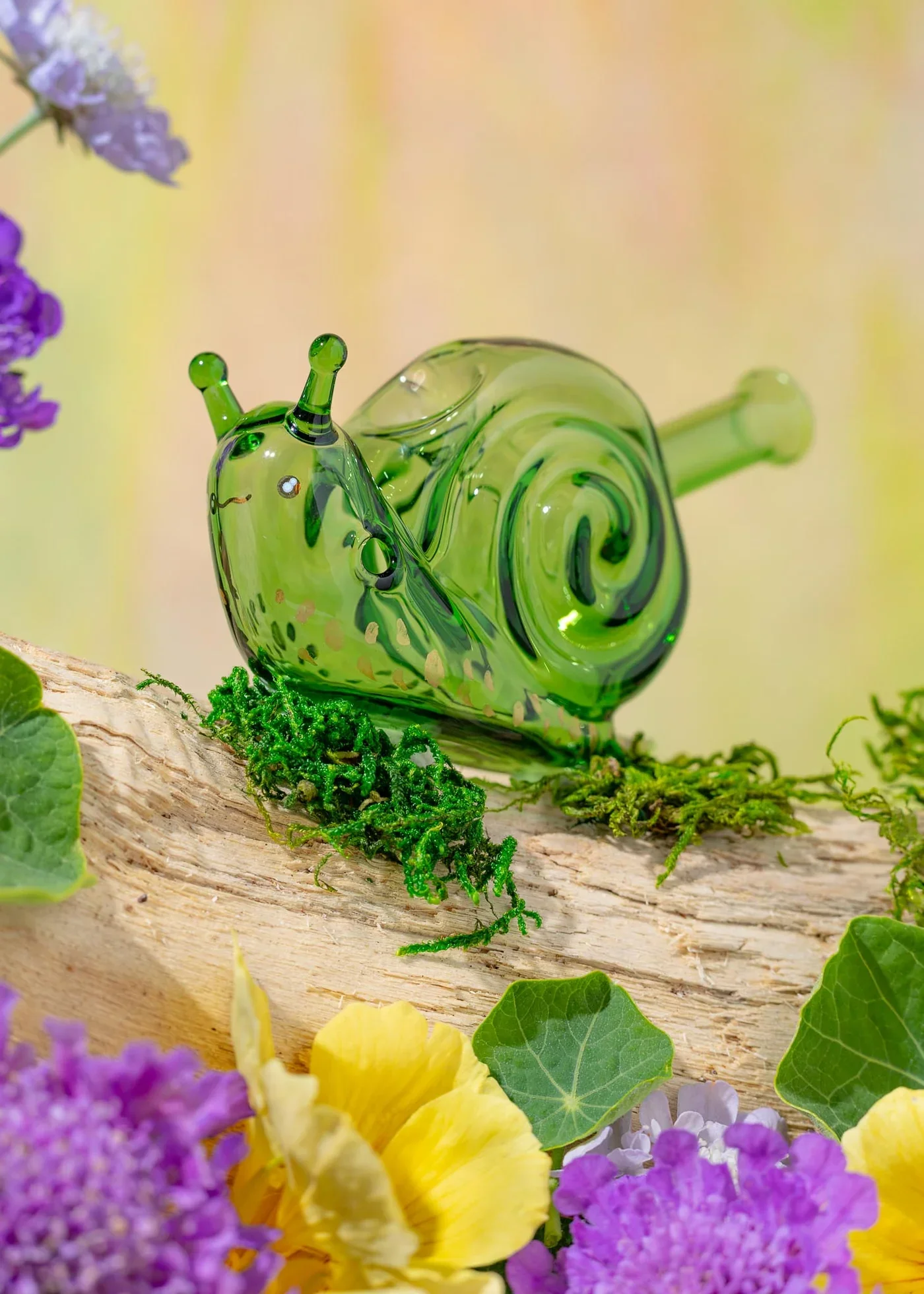 snail-pipe1.jpg.webp