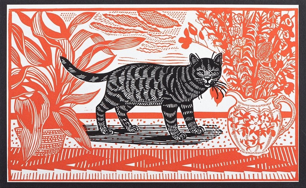 IMG_3408.jpeg