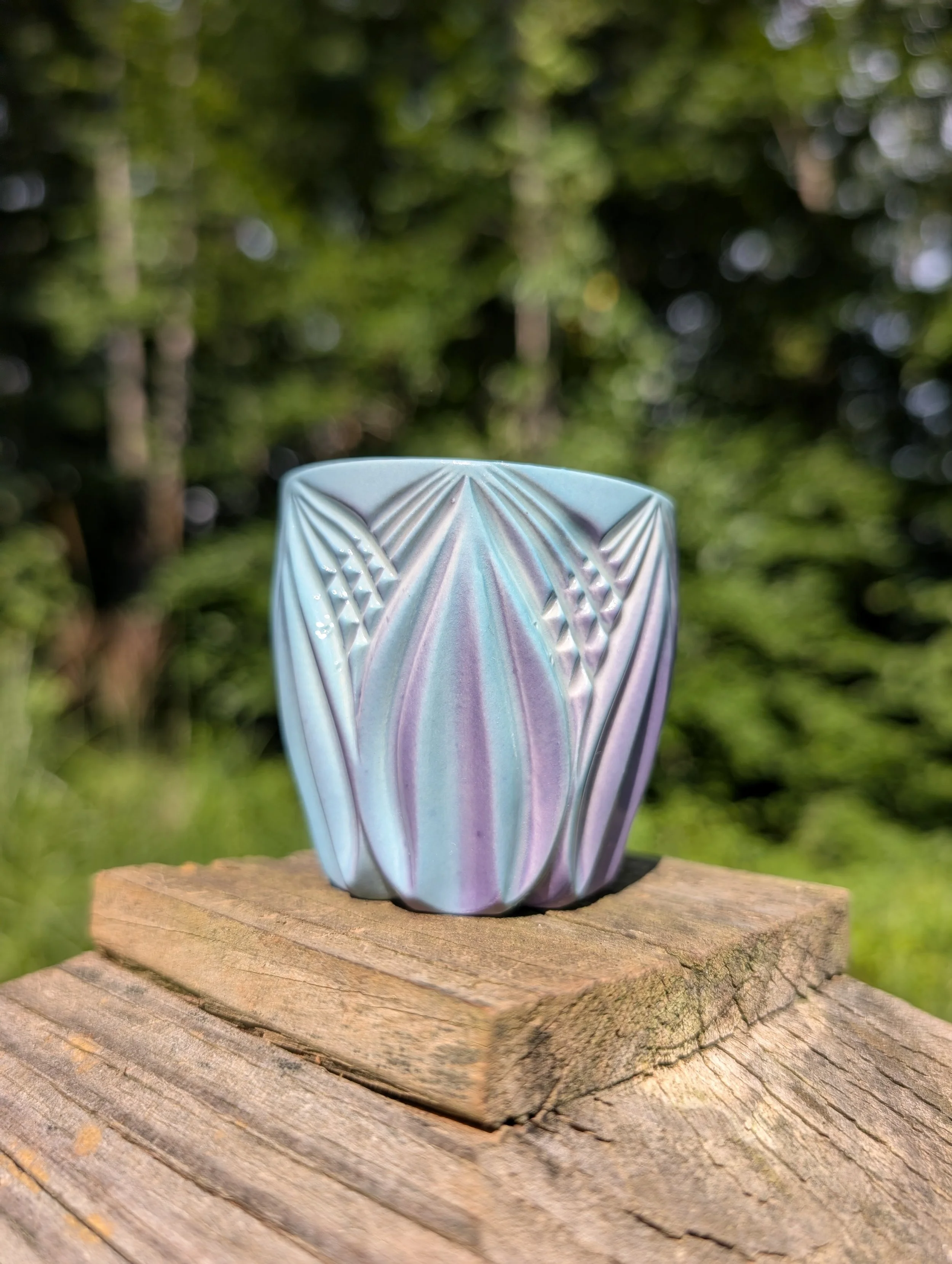 PXL_20260811_204427543.jpg