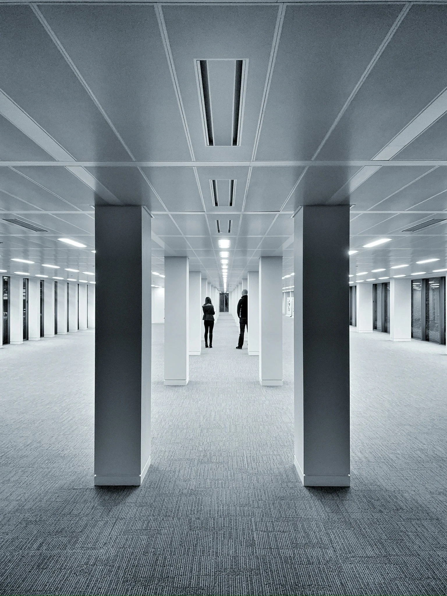 Desperately seeking new offices