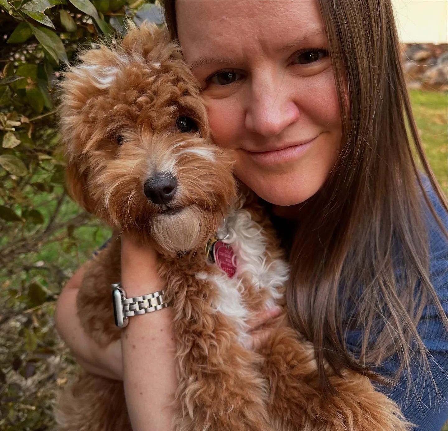 Happy dog day, Coops!!! We&rsquo;ve had a fun year together.  You always love to cuddle and want to eat everything you find.  You&rsquo;re such a joy and I love you!! 🐕 #myaussiegoldendoodle 

I got Cooper from @goldendoodledoofarms &hellip;Katie ha