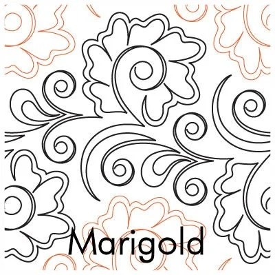 Marigold.jpg
