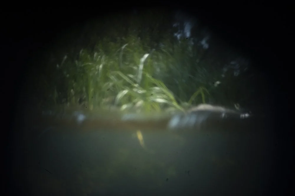 underwater.jpg