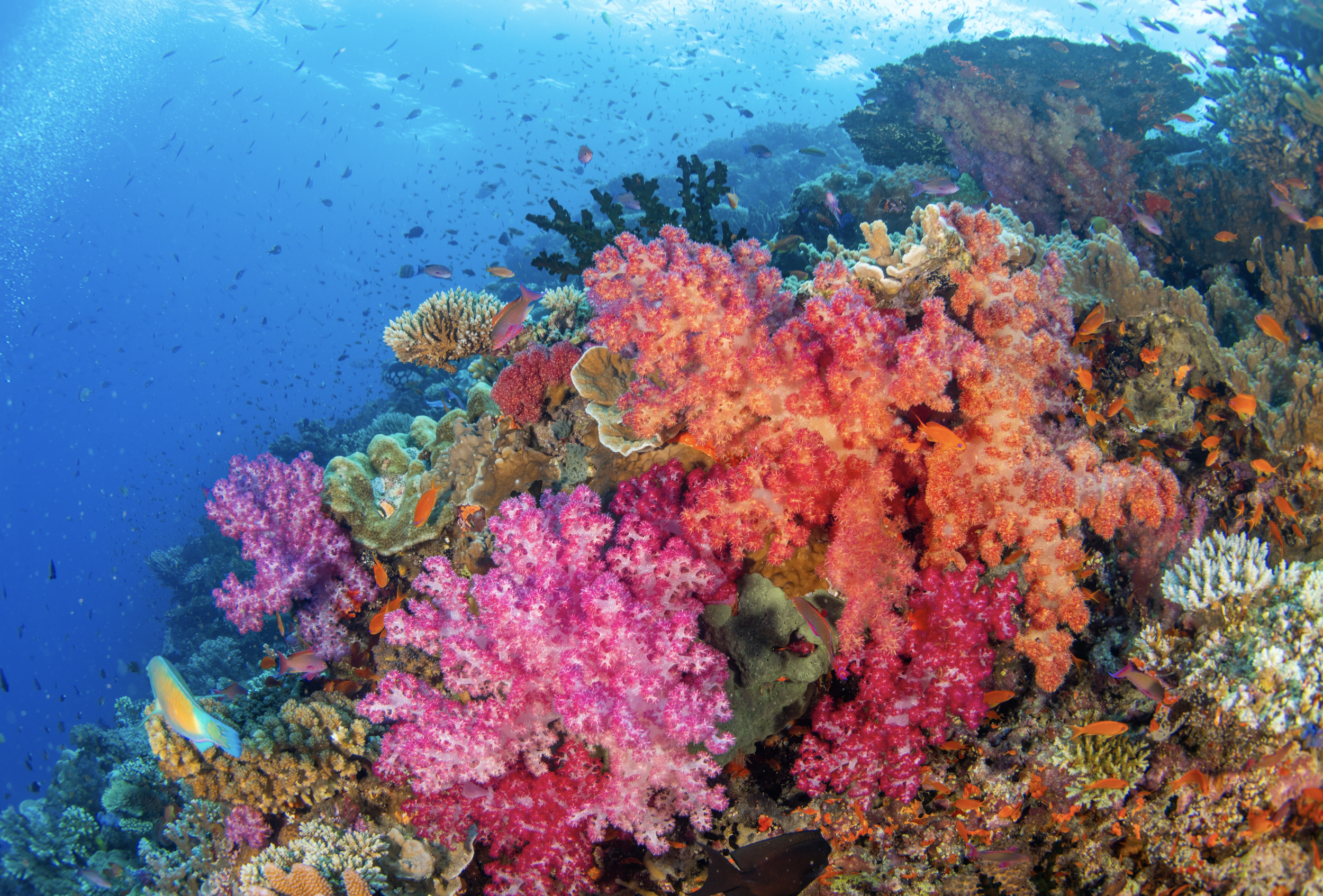 Screenshot 2025-12-24 at 11.00.43 AM.png