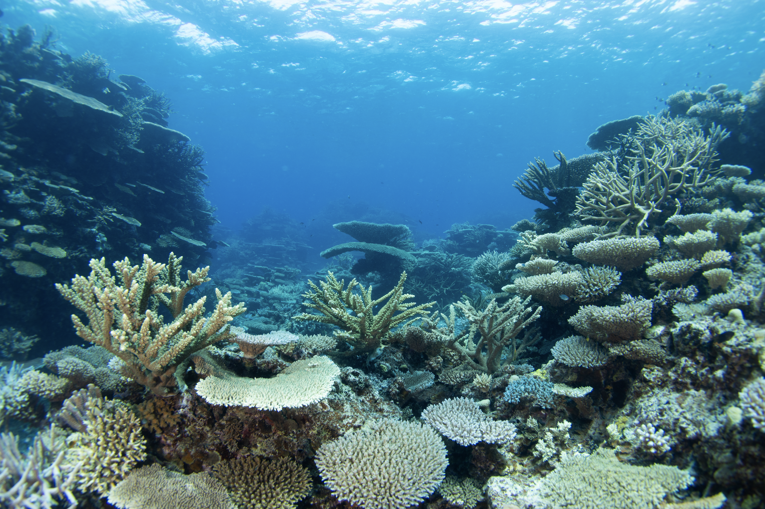 Screenshot 2026-01-26 at 5.31.09 PM.png