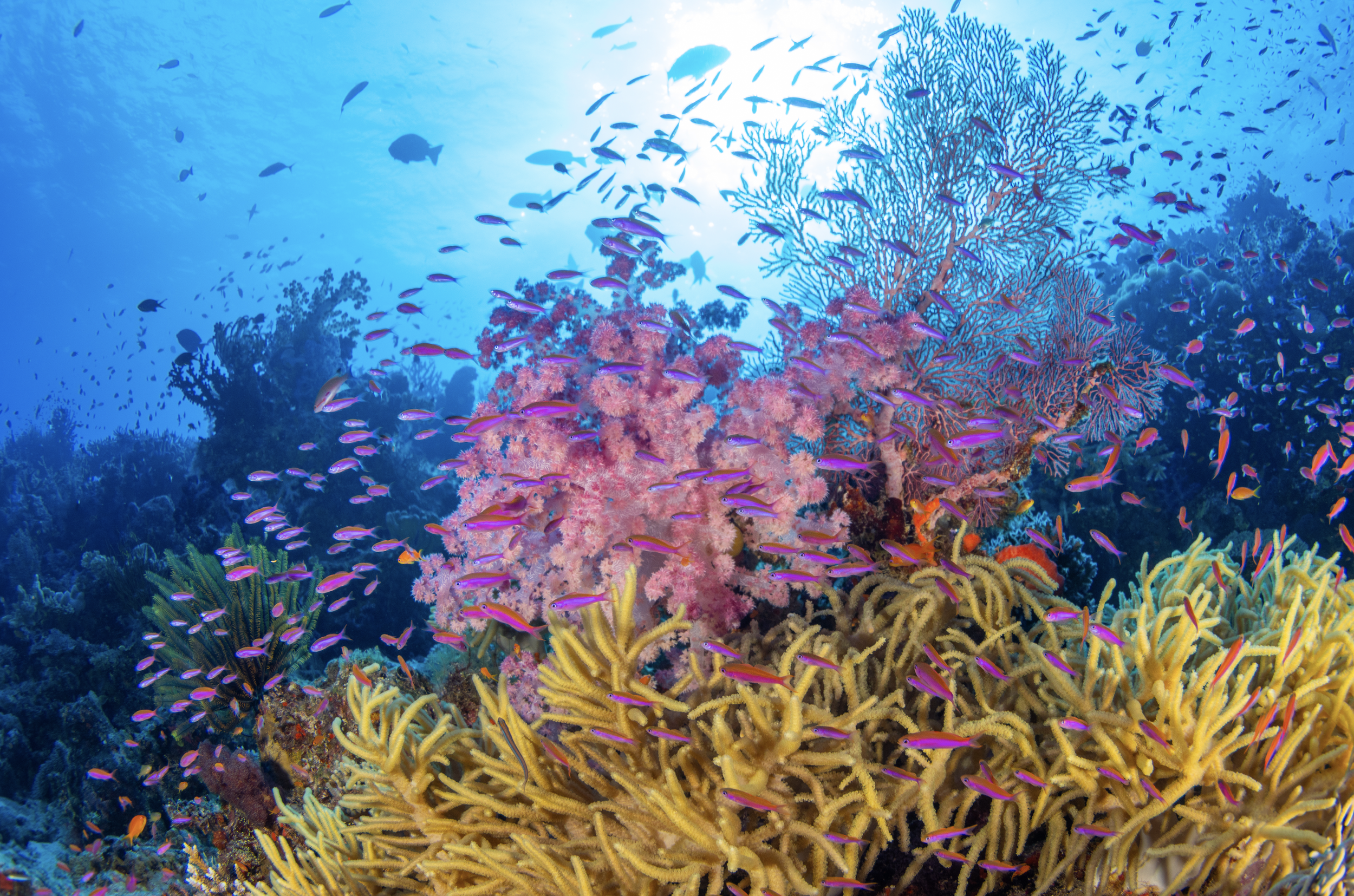 Screenshot 2026-01-26 at 5.40.33 PM.png