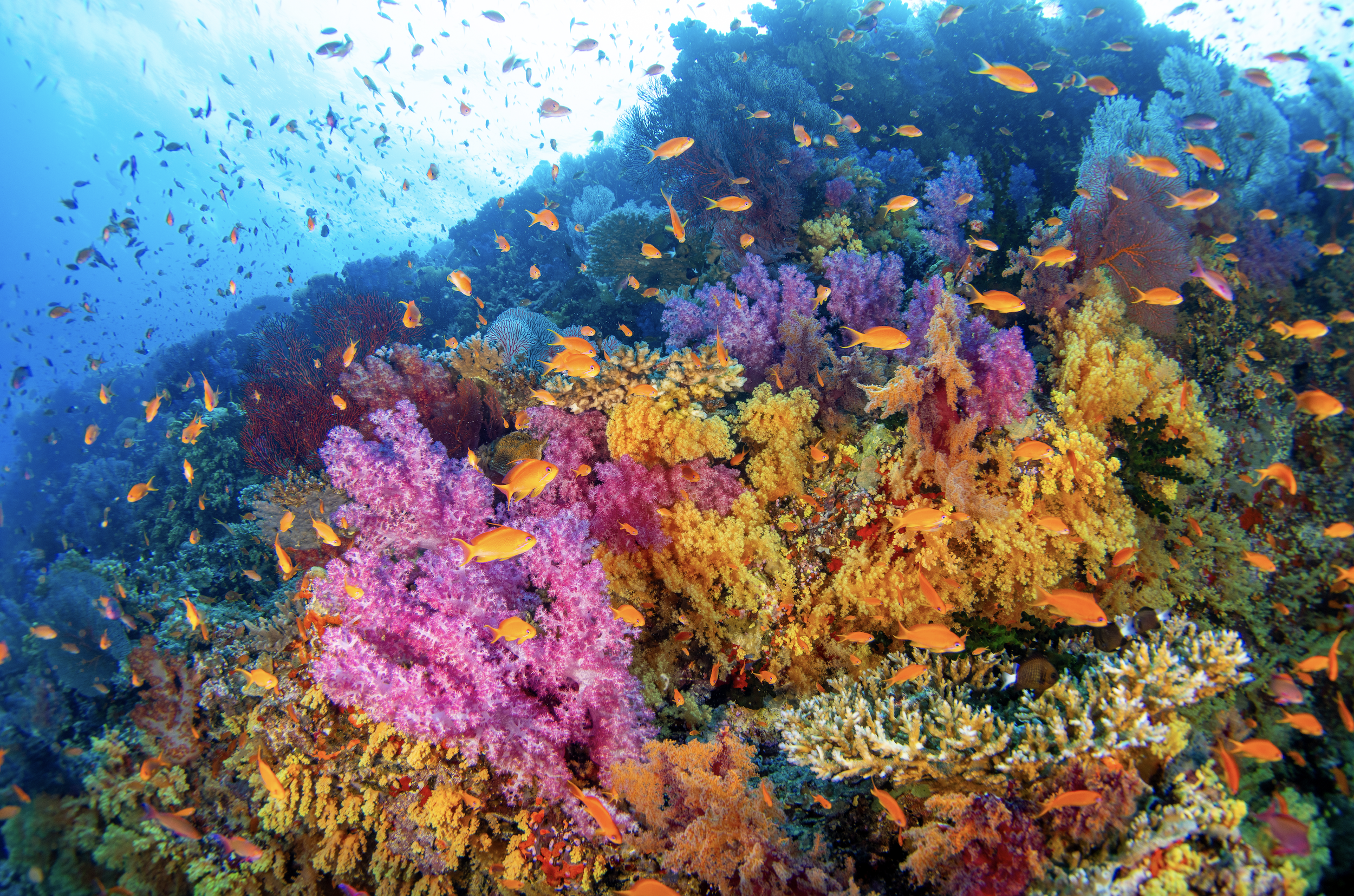 Screenshot 2025-12-24 at 11.00.23 AM.png