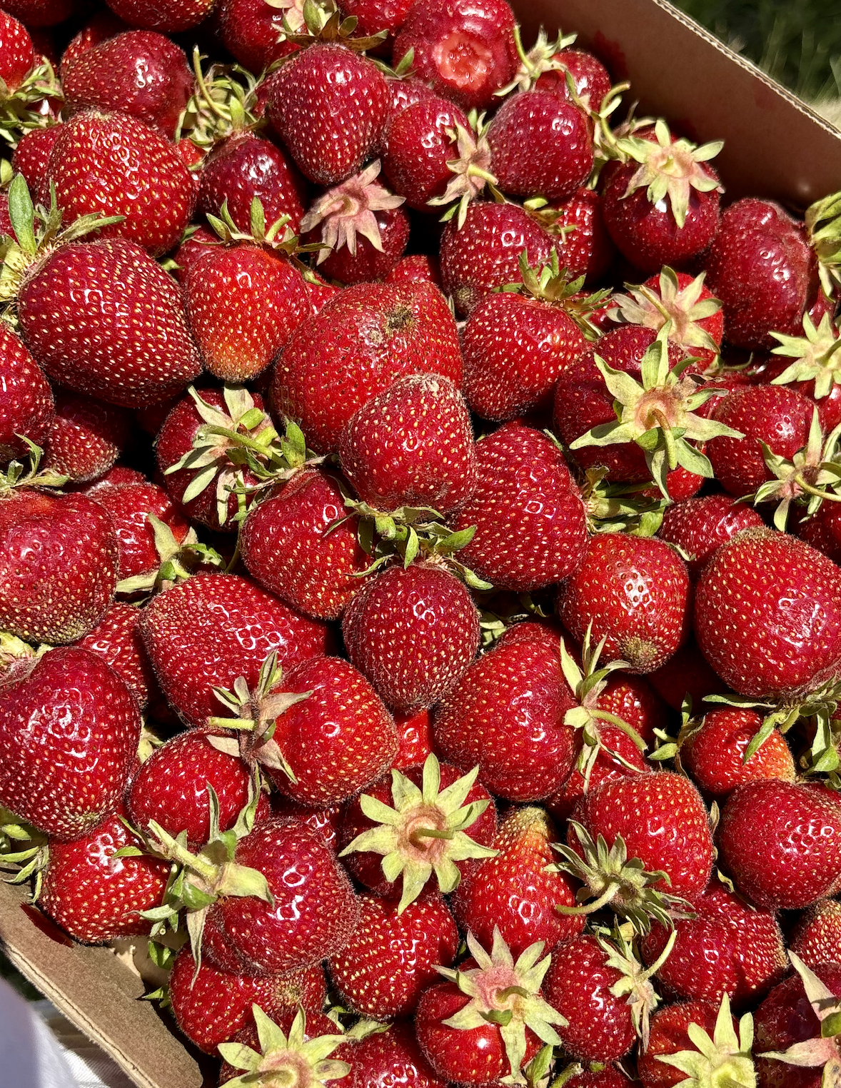 Summer Strawberry Jam