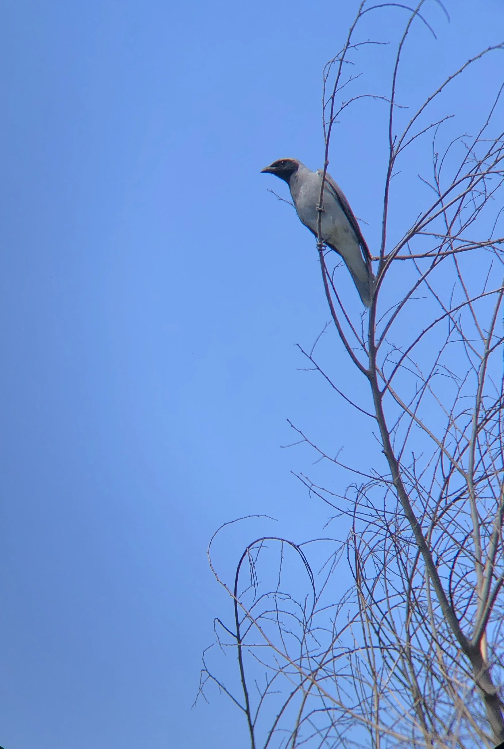 IMG_8473.jpg