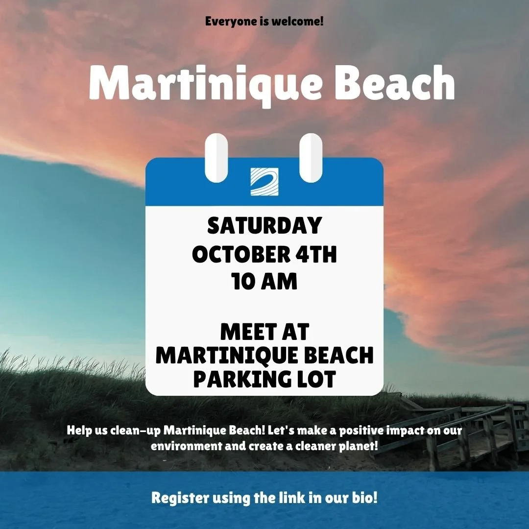 Martinique Beach Park Clean-Up